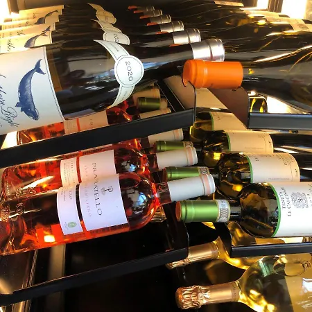 蒙塔努斯酒店 酒店